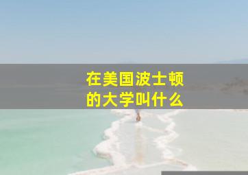 在美国波士顿的大学叫什么