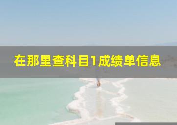 在那里查科目1成绩单信息