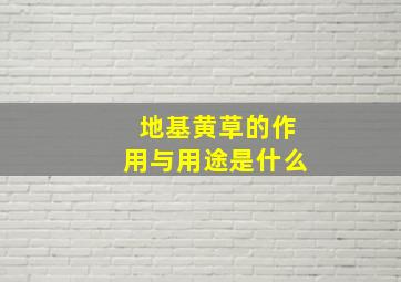 地基黄草的作用与用途是什么