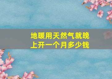 地暖用天然气就晚上开一个月多少钱