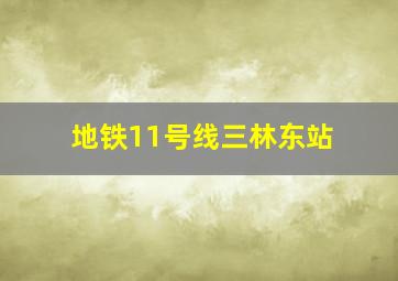 地铁11号线三林东站