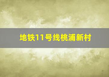 地铁11号线桃浦新村