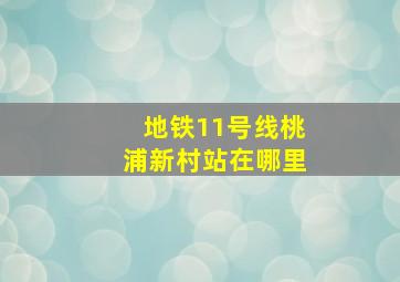 地铁11号线桃浦新村站在哪里