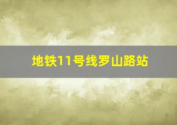 地铁11号线罗山路站