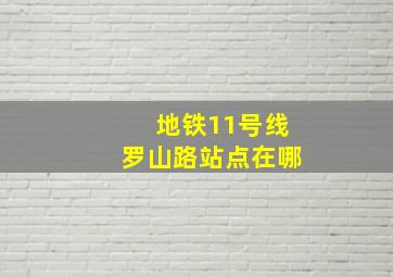 地铁11号线罗山路站点在哪