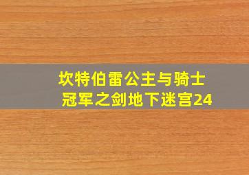 坎特伯雷公主与骑士冠军之剑地下迷宫24