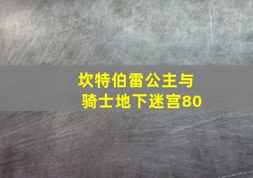 坎特伯雷公主与骑士地下迷宫80