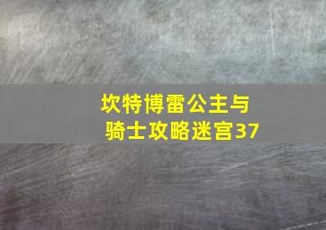 坎特博雷公主与骑士攻略迷宫37