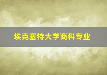 埃克塞特大学商科专业