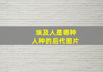 埃及人是哪种人种的后代图片