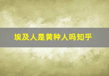 埃及人是黄种人吗知乎