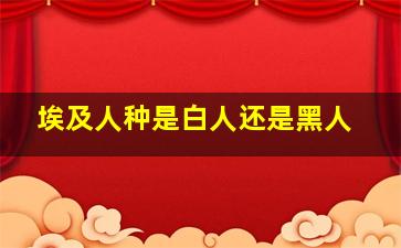 埃及人种是白人还是黑人