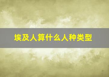 埃及人算什么人种类型