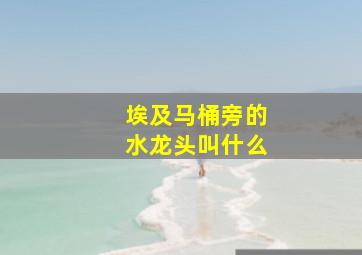 埃及马桶旁的水龙头叫什么