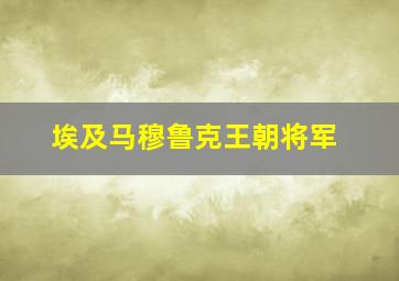 埃及马穆鲁克王朝将军