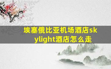 埃塞俄比亚机场酒店skylight酒店怎么走