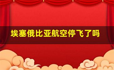 埃塞俄比亚航空停飞了吗