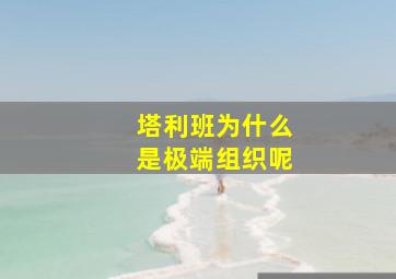 塔利班为什么是极端组织呢