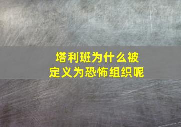 塔利班为什么被定义为恐怖组织呢