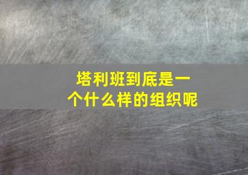 塔利班到底是一个什么样的组织呢