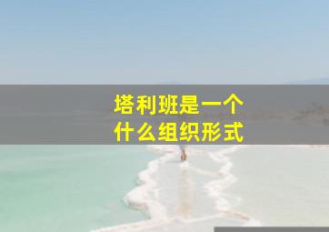 塔利班是一个什么组织形式