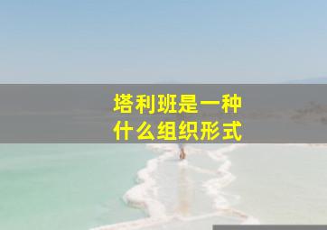 塔利班是一种什么组织形式