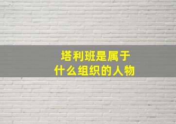 塔利班是属于什么组织的人物