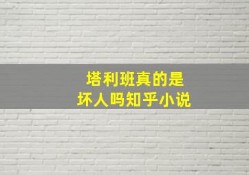 塔利班真的是坏人吗知乎小说