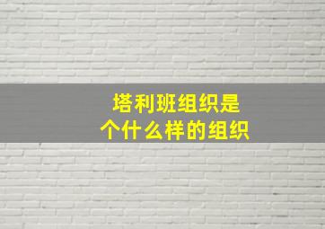 塔利班组织是个什么样的组织