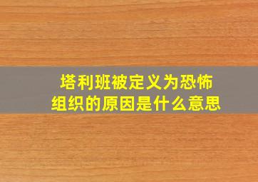 塔利班被定义为恐怖组织的原因是什么意思