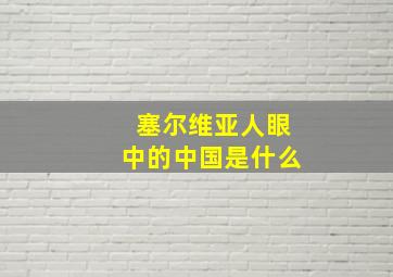 塞尔维亚人眼中的中国是什么