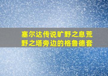 塞尔达传说旷野之息荒野之塔旁边的格鲁德套