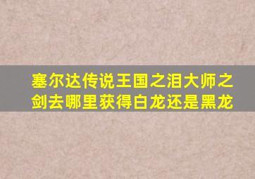 塞尔达传说王国之泪大师之剑去哪里获得白龙还是黑龙