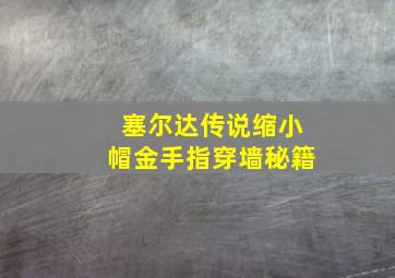 塞尔达传说缩小帽金手指穿墙秘籍