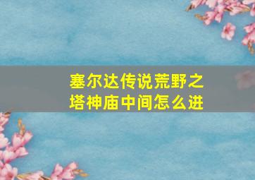 塞尔达传说荒野之塔神庙中间怎么进