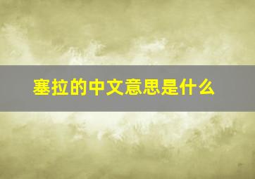 塞拉的中文意思是什么