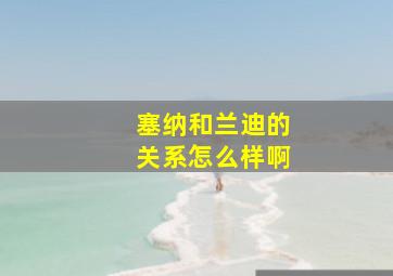 塞纳和兰迪的关系怎么样啊