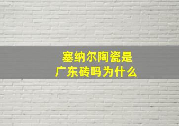 塞纳尔陶瓷是广东砖吗为什么