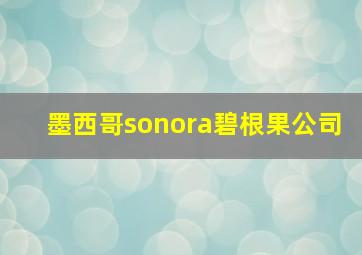 墨西哥sonora碧根果公司