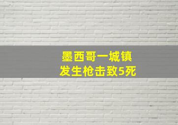 墨西哥一城镇发生枪击致5死