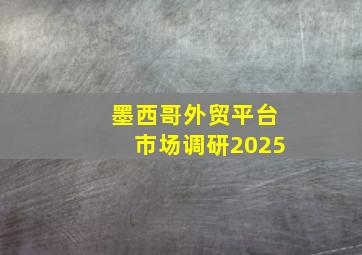 墨西哥外贸平台市场调研2025