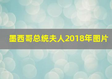 墨西哥总统夫人2018年图片