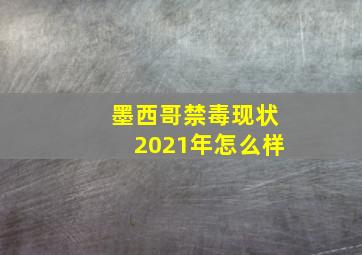 墨西哥禁毒现状2021年怎么样