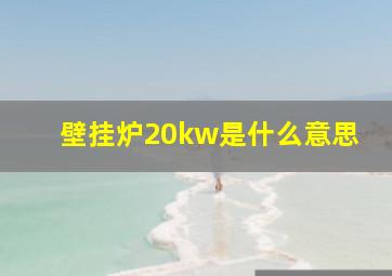 壁挂炉20kw是什么意思