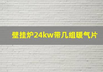 壁挂炉24kw带几组暖气片