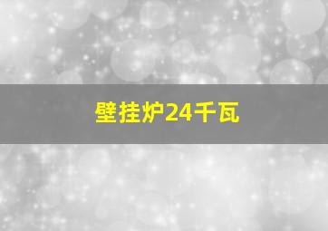 壁挂炉24千瓦