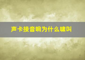 声卡接音响为什么啸叫