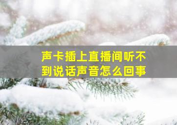 声卡插上直播间听不到说话声音怎么回事