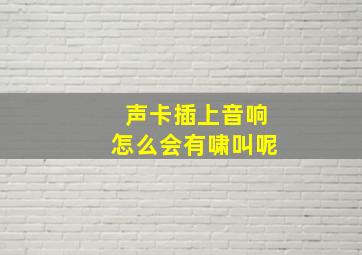 声卡插上音响怎么会有啸叫呢