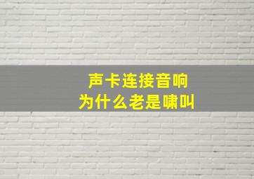 声卡连接音响为什么老是啸叫